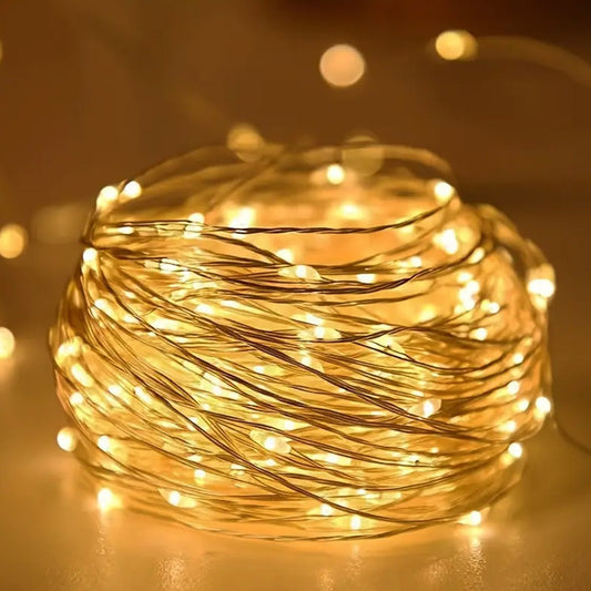 GLOWSPACE Copper Wire Fairy LED Lights – USB Powered | Warm White & Multicolor | Home & Festival Décor